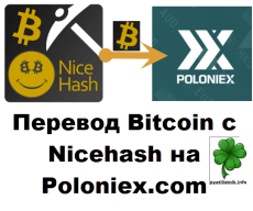 nicehash to poloniex.com